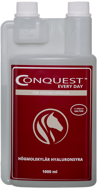 Conquest Every Day 1000ml