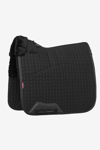 Dressyrschabrak Merino