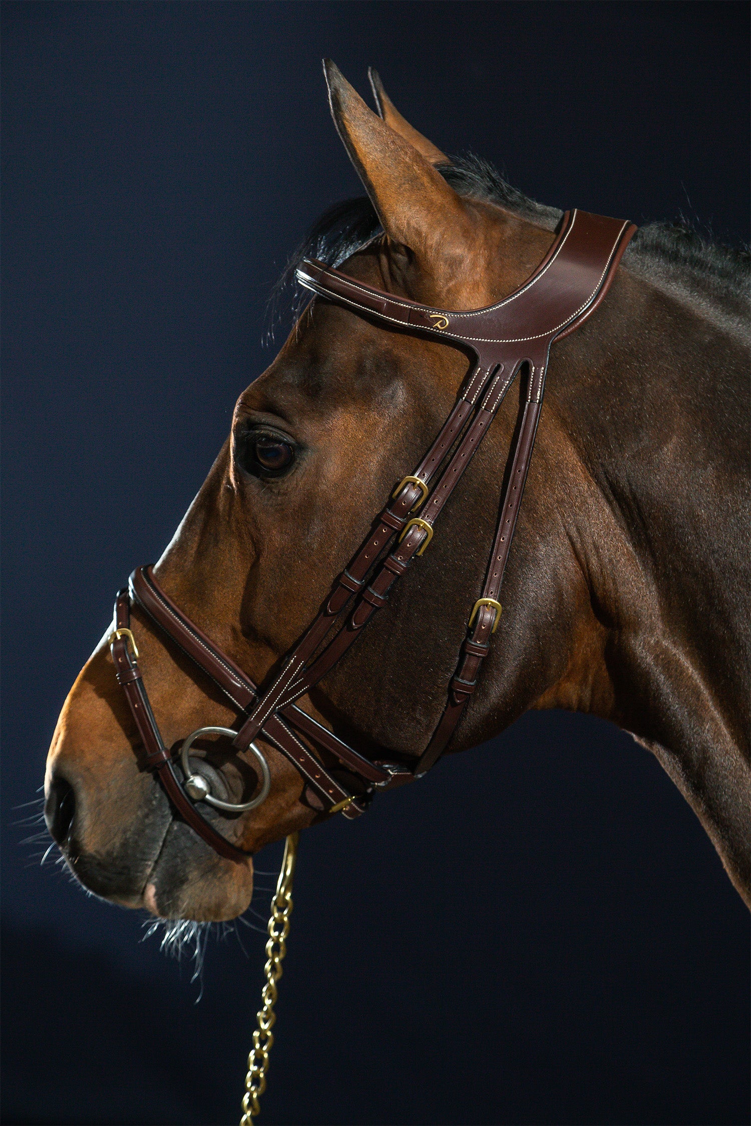 Erkaklar feminizatsiyasi aks ettirilgan porno videolarni tomosha qiling Xmelnitskiyda jinsiy aloqa uchun etuk ayollar