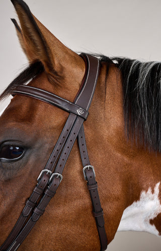 Träns Kombinerad Nosgrimma Snabbspänne Brun