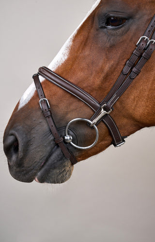 Träns Kombinerad Nosgrimma Snabbspänne Brun