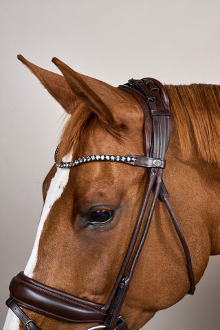 Träns Rundsytt Stor Nosgrimma Soft Läder Brun