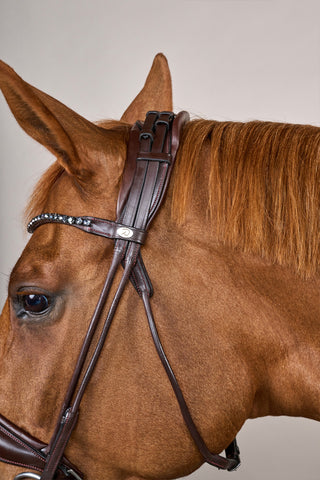 Träns Rundsytt Stor Nosgrimma Soft Läder Brun