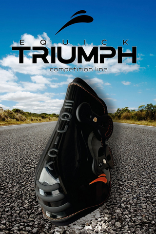 Triumph Bakskydd