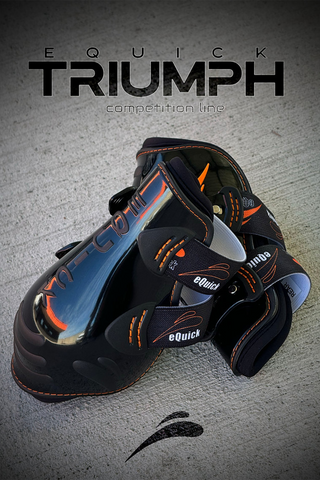Triumph Bakskydd