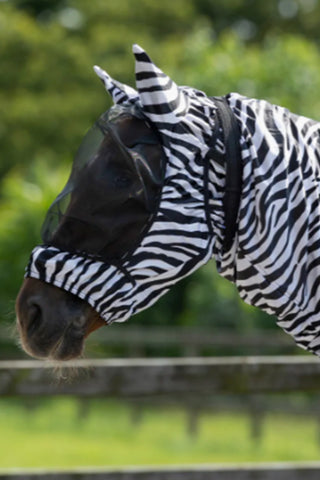 Eksemhuva med Öron Zebra