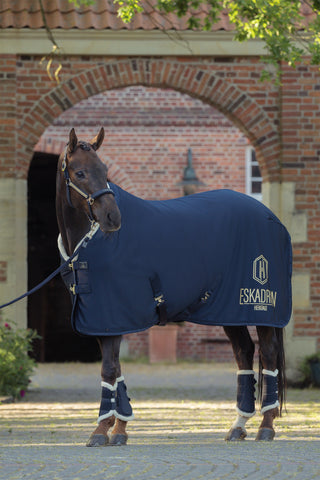 Damasker Heritage AW25 Navy