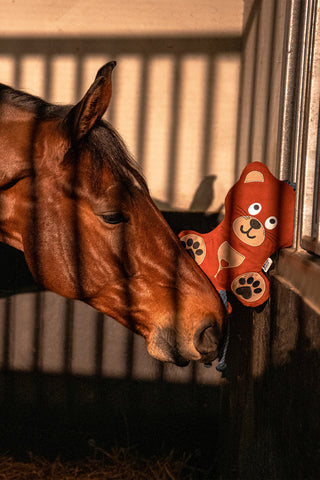 Horse Toy Bear