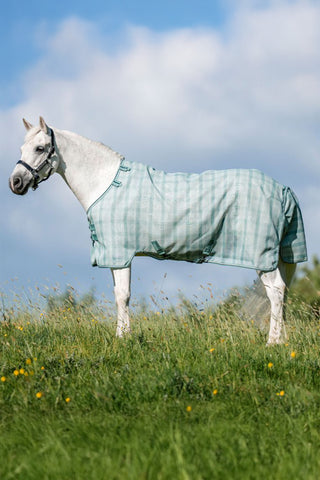 Fly Sheet Newmarket Pony Witney Dynasty