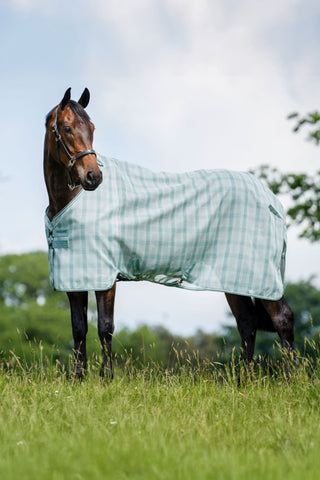 Flugtäcke Newmarket Witney Dynasty