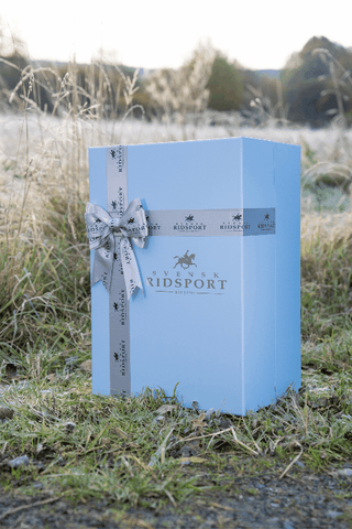 Julkalender Box 2025