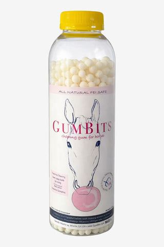 GumBits Kaugummi 340g