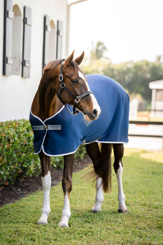 Amigo Jersey Cooler Navy