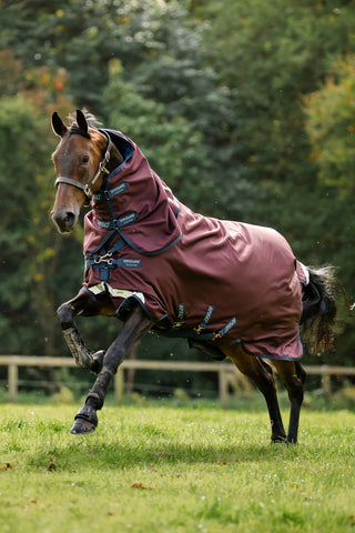Regendecke Amigo 1200D Plus 0g Burgundy/Navy