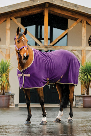 Fleecedekken Amigo Winterberry/Taupe