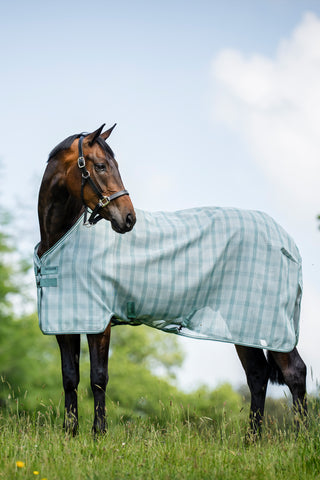 Fliegendecke Newmarket m. Hals Witney Dynasty