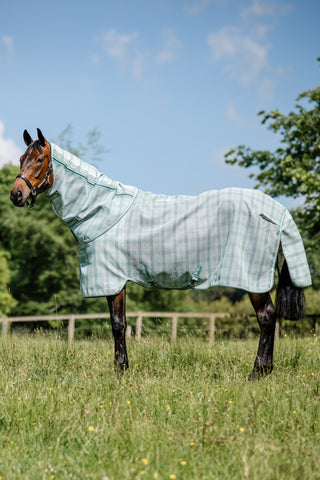 Flugtäcke Newmarket m.Hals Witney Dynasty