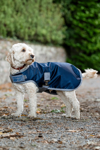 Regendeken Hond Ionic 50g Imperial Blue/Silver