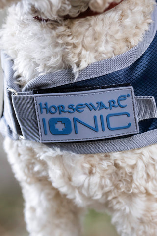 Regendeken Hond Ionic 50g Imperial Blue/Silver