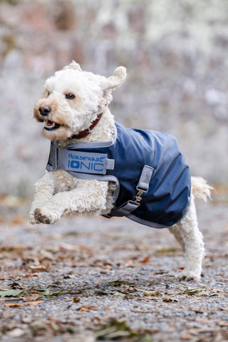 Regendeken Hond Ionic 50g Imperial Blue/Silver