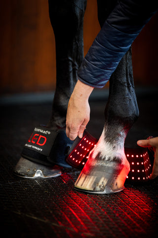 Snabbandage Infrarød LED Single Sort