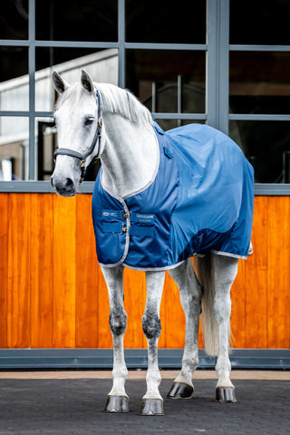 Sweat Rug Ionic Imperial Blue/Silver