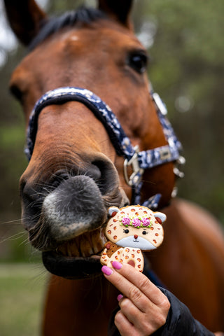 Horse Treats Cookie Party #1