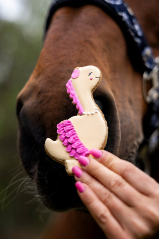 Horse Treats Cookie Party #1