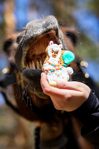 Horse Treats Party Cookie #2