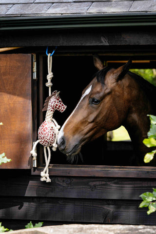 Jouet pour cheval Girafe
