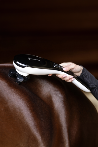 Massageapparat GO Anywhere Svart