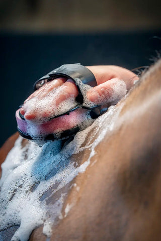 Hippo Skrubborste Svart