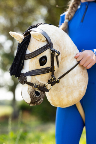 Hobby Horse Dream