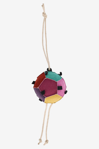 Pferdespielzeug Ball Multi