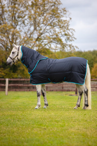 Amigo Insulator Pony Plus 200g