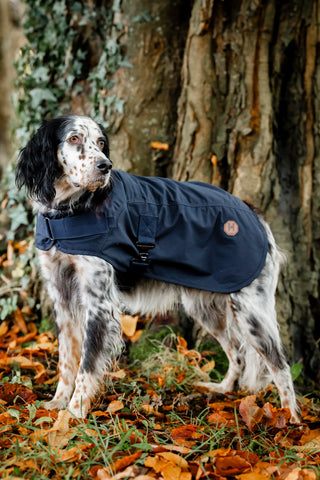 Newmarket Heritage Hundtäcke XS Navy