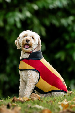 Newmarket Hundfleece XS Witney Gold