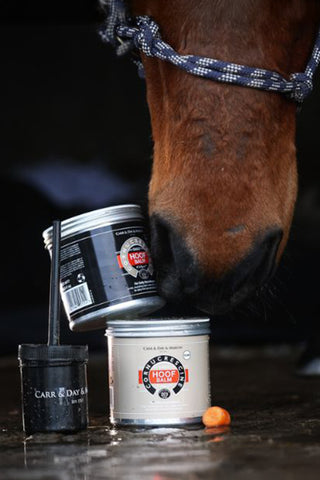 Cornucrescine Hoof Balm Clear 500ml