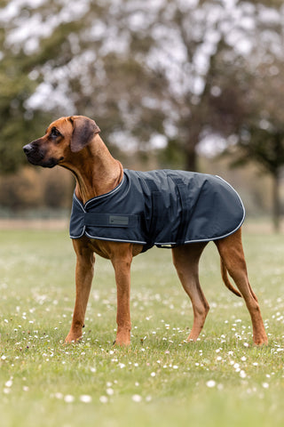 Hundtäcke Regn Navy