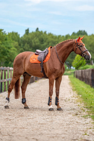 Satin Fliegenhaube Chestnut