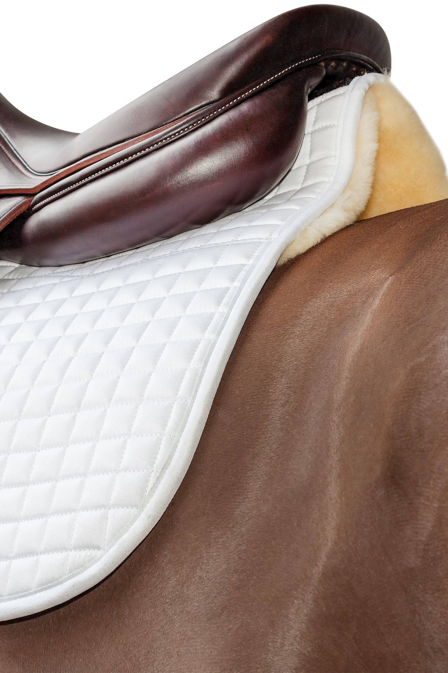 Tapis De Selle Premier Equine Armada Close Contact Jumping Tapis De Selle Premier Equine Armada Close Contact Jumping