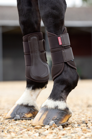 Mesh Brushing Damask Brun