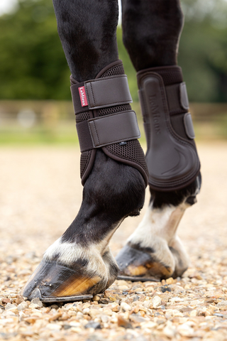 Mesh Brushing Damask Brun