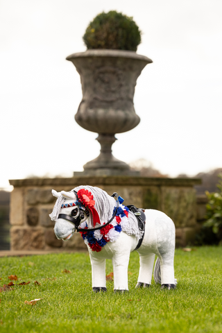 Toy Pony Rosettpaket