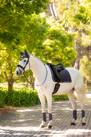 Loire Classic Dressyrschabrak