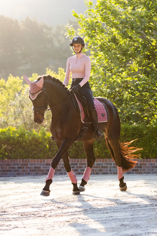 Loire Classic Dressyrschabrak