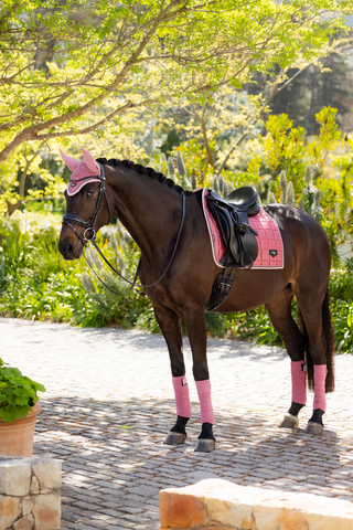 Loire Classic Dressyrschabrak