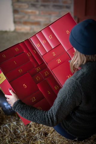Julkalender Box 2022