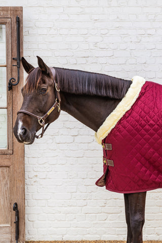 Show Rug Stalltäcke 160G Bordeaux