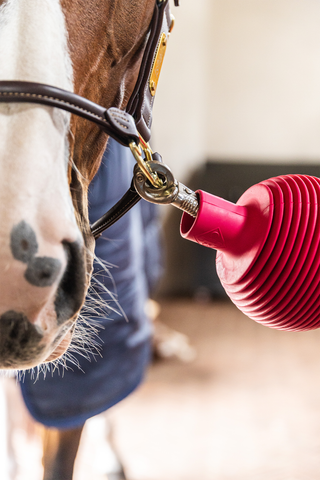 Boll Uppbindningsskydd Pro Rosa